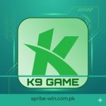 K9 Game